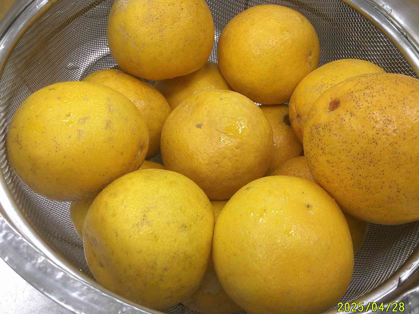 DSCF0073