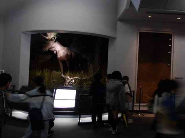 博物館たんけん